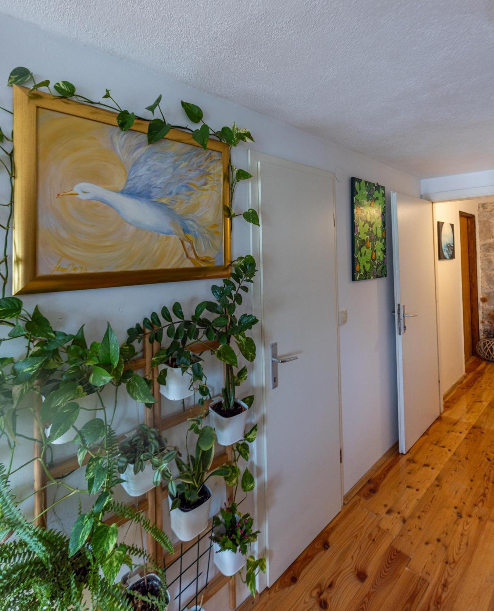 Old House Apartment Водице Екстериор снимка